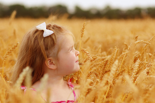 Girl on a wheat field - Photo, Image