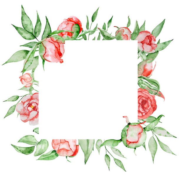 Romantic frame with flowers Card template. Watercolor peonies with green leaves on the white background. Hand drawn illustration. - Fotoğraf, Görsel