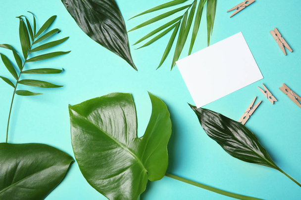 Tropical leaves on color background, flat lay - Foto, imagen