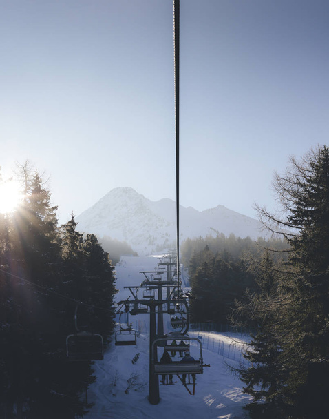 Słońce przez sosnowych drzew jako wejście wyciąg krzesełkowy o włoski narciarskim pokryte śniegiem - Zdjęcie, obraz