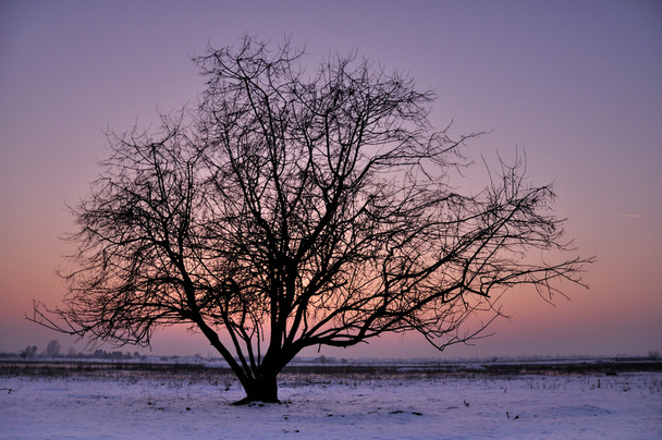 Kış manzarası - Fotoğraf, Görsel