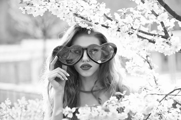 Glamour girl in blossom - Photo, Image