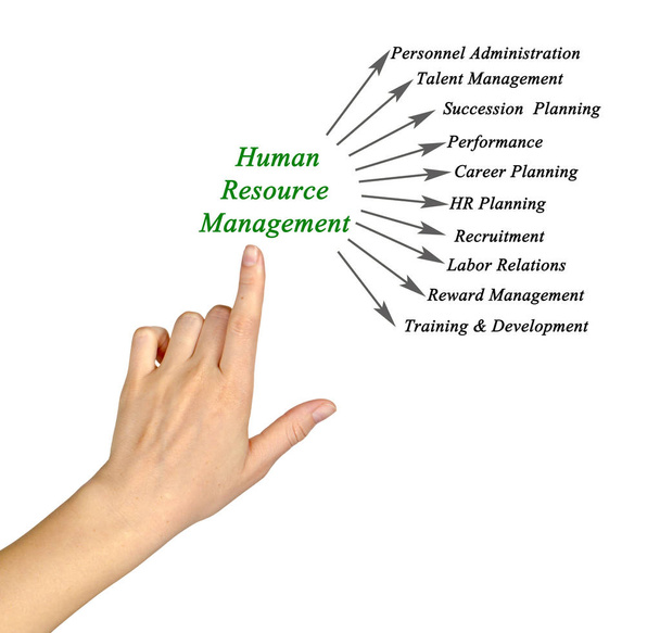Vrouw presentatie van Human Resource Management - Foto, afbeelding