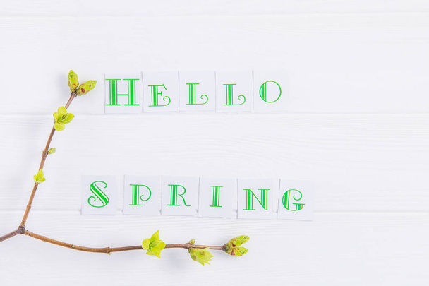 Simple composition of Hello spring calligraphy lettering and branches with young shoots of greenery on wooden background. Art concept. Selective focus. Top view. Space for text. - Foto, Imagen