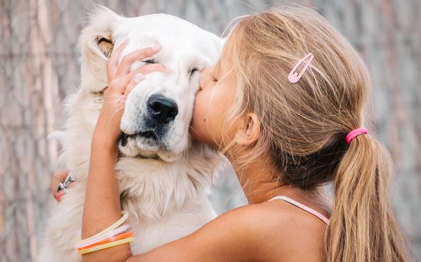 Маленькая девочка целует золотую собаку на открытом воздухе летом
 - Фото, изображение