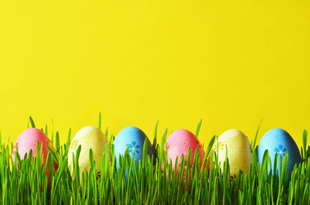 Painted Easter eggs in a green grass on a meadow. - Fotó, kép