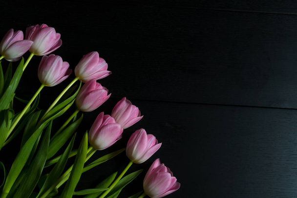 Siyah ahşap arka plan üzerine parlak Pembe Lale sınırdan çiçekler. - Fotoğraf, Görsel
