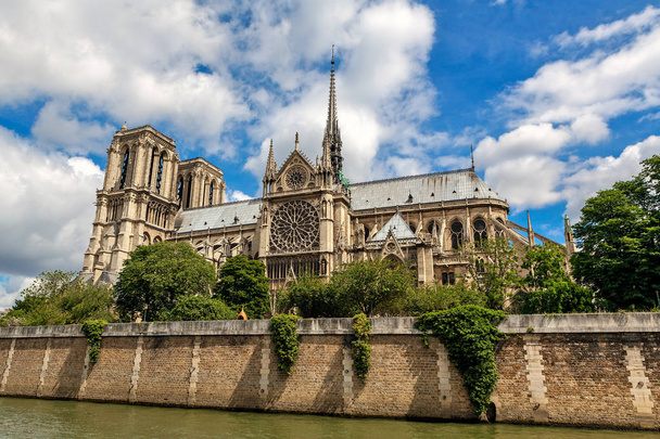 Katedra Notre-Dame de Paris w Paryżu. - Zdjęcie, obraz