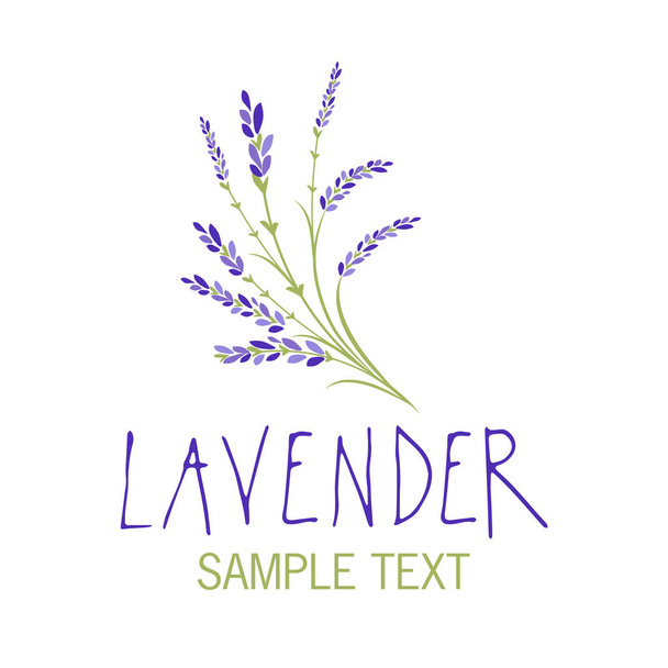Lavender flower. Logo design. Text hand drawn. - Vector, Image