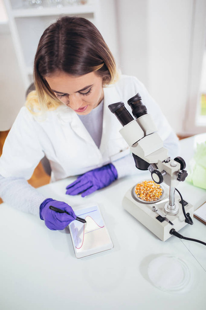 Γυναίκα επιστήμονας ψάχνετε καλαμπόκι για γενετική έρευνα στο εργαστήριο - Φωτογραφία, εικόνα