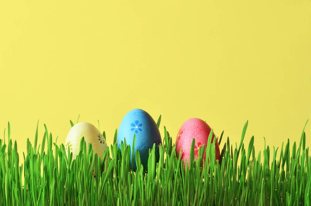 Pintado ovos de Páscoa em uma grama verde em um prado
. - Foto, Imagem