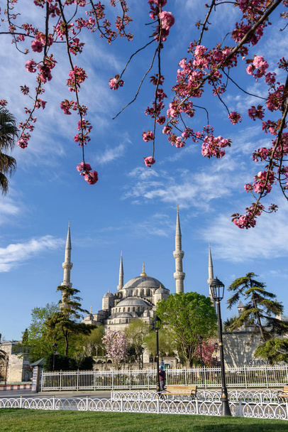 Fatih Mosque, Conquerors Mosque, in spring time, Istanbul, Turkey. - Photo, Image