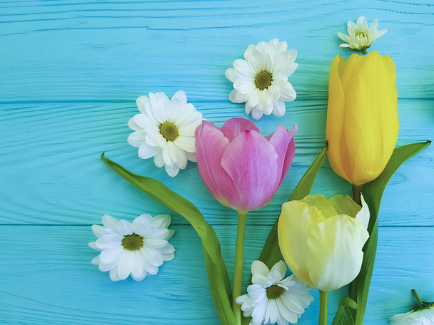 belas tulipas de crisântemo, em um fundo de madeira azul
 - Foto, Imagem