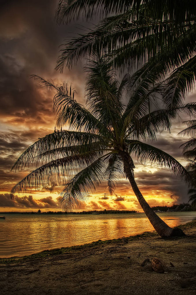 Bora Bora, Polinezja Francuska - Zdjęcie, obraz