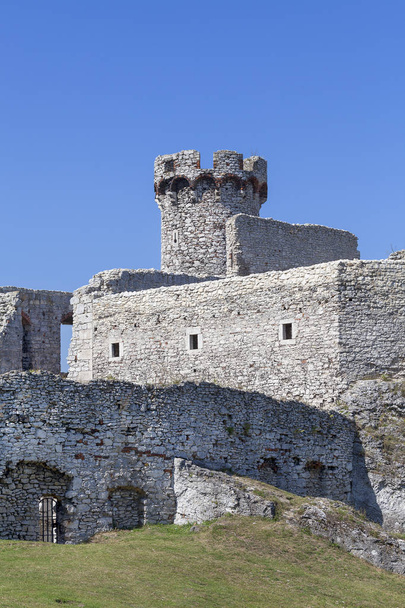 Ruines du château médiéval du XIVe siècle, Château d'Ogrodzieniec, Sentier des nids d'aigles, Podzamcze, Pologne
 - Photo, image