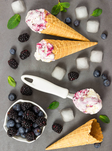 Ovocné zmrzliny s čerstvým blackberry a Borůvka, kostky ledu - Fotografie, Obrázek