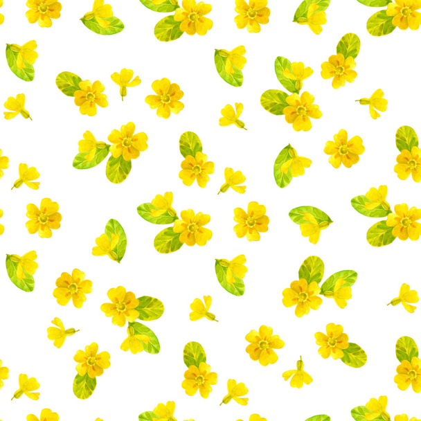 Seamless watercolor pattern with a primrose on white background - Photo, Image