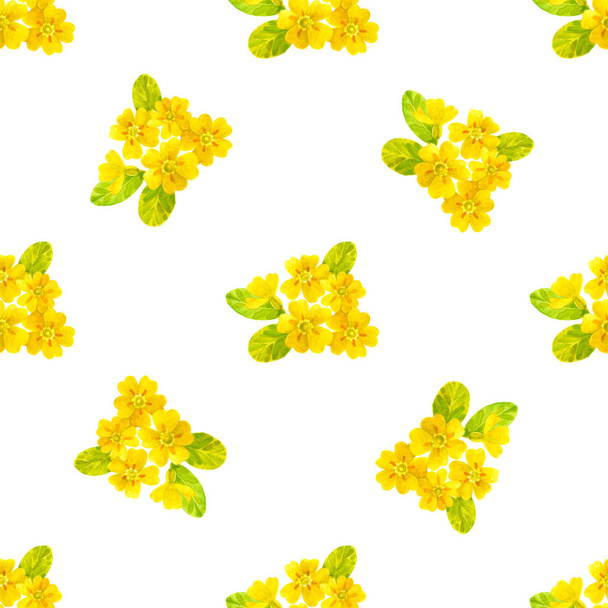 Seamless watercolor pattern with a primrose on  white background - Фото, изображение