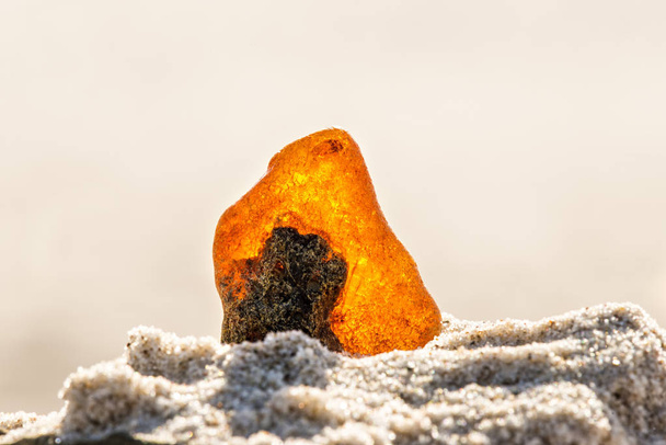 Янтарь на пляже Балтийского моря
 - Фото, изображение