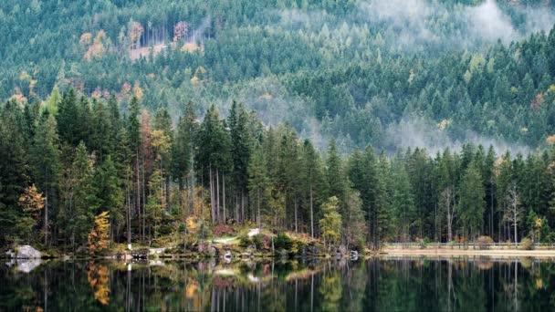 素晴らしい秋の朝オーストリア国境がドイツ、ヨーロッパのバイエルン アルプスの Hintersee 湖 - 映像、動画