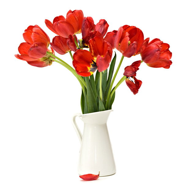 Tulips bouquet - Fotoğraf, Görsel