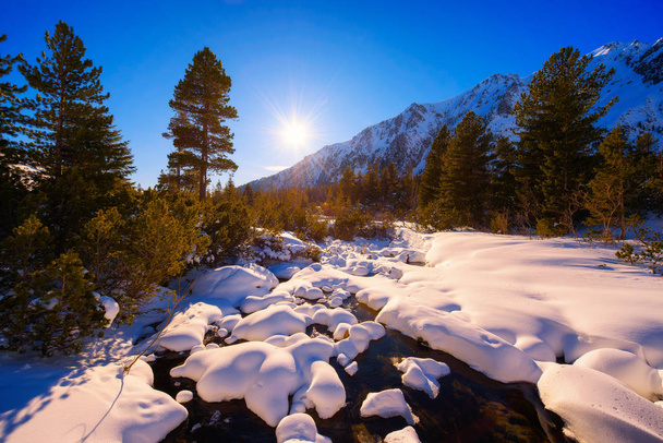 Luminen jääpuro metsässä
 - Valokuva, kuva