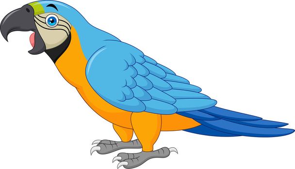 Cartoon blue macaw isolated on white background - Vector, Image