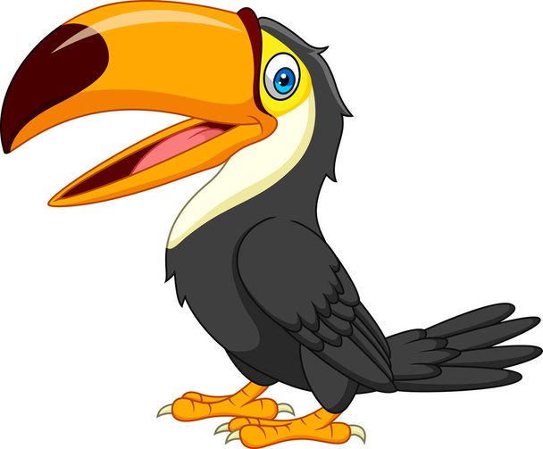 Cartoon toucan isolated on white background - Vektör, Görsel