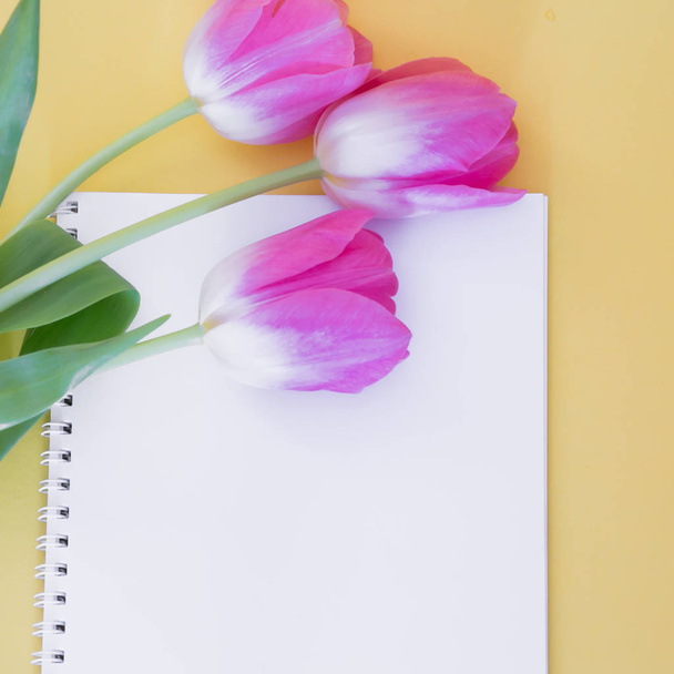 pink tulips on book - Fotó, kép