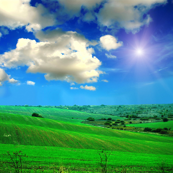 champ vert avec le ciel
 - Photo, image