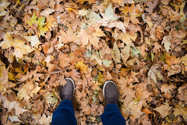Na podzim muž stojí v listí - Fotografie, Obrázek