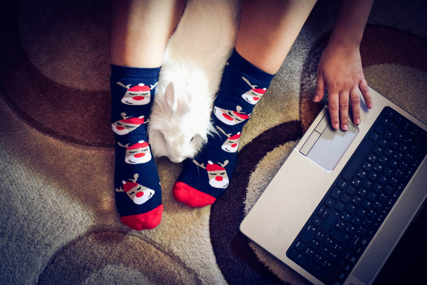 Felice donna in calzini di Natale lavorando con il piccolo coniglietto
 - Foto, immagini