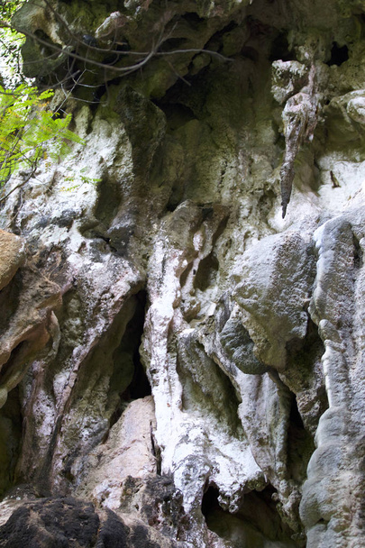 Details and forms of rocks on Railay peninsula, Krabi, Thailand - Zdjęcie, obraz