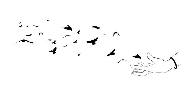 Aves voladoras y siluetas de mano sobre fondo blanco
.  - Vector, Imagen