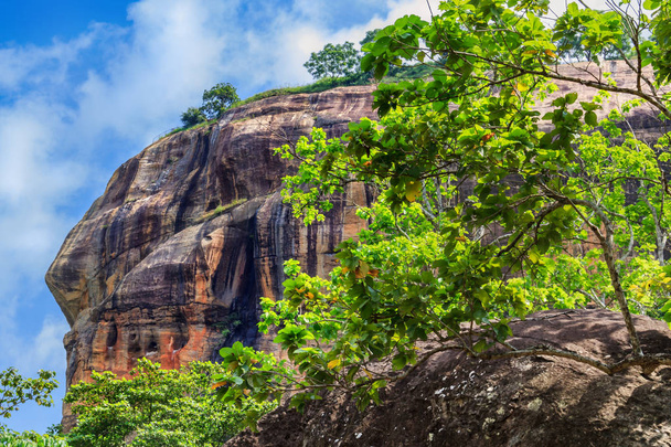 Вид на вершину скалы Сигирия Лион на фоне облаков. Шри-Ланка
 - Фото, изображение