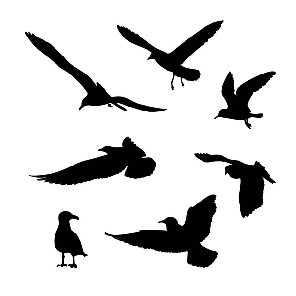 Векторный набор силуэтов чайки
 - Вектор,изображение