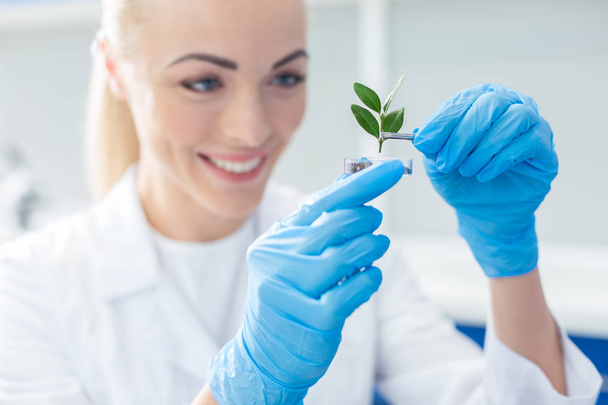 Ecological conservation. Selective focus of a green plant being put into sol by nice female scientist while working on an eco project - Фото, зображення