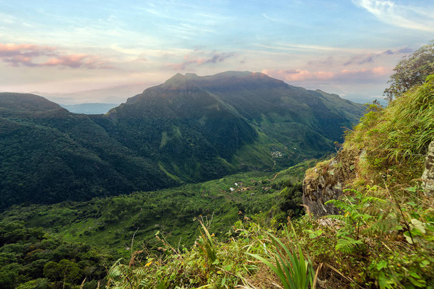 A Horton Plains, a Sri Lanka - népszerű idegenforgalmi de a világ végén - Fotó, kép