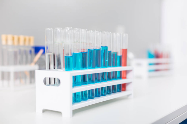 Order in lab. Glass test tubes staying in stand which placed on surface - Fotografie, Obrázek