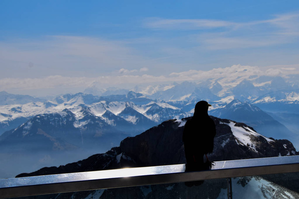 Гірськолижний регіон Швейцарії - швейцарські Альпи. Повний кольорів а також прекрасний вид, пейзажі - Фото, зображення
