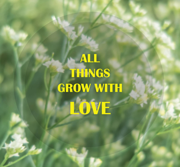 Inspirerende en motiverende citaat op wazig bloem achtergrond... alles groeien met liefde - Foto, afbeelding