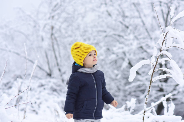 Cute little boy, kid in winter clothes walking under snow. Child in blue jacket and yellow hat walks in snow-covered forest, listens to sounds of nature. Bright clothes for children. Beautiful child - Photo, Image