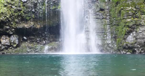 waterval in tropische natuur landschap, de kracht van pure groene energie, natuurlijke hulpbronnen, prachtige rustige omgeving, krachtige aqua water vallen cascade, nationaal park beschermd gebied meer en rivier - Video