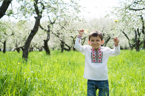 The boy is embroidered in the garden - Fotografie, Obrázek