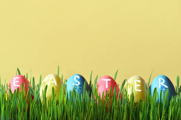 Painted Easter eggs in a green grass on a meadow. - Photo, Image