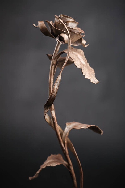 Metal rose of bronze color - 写真・画像