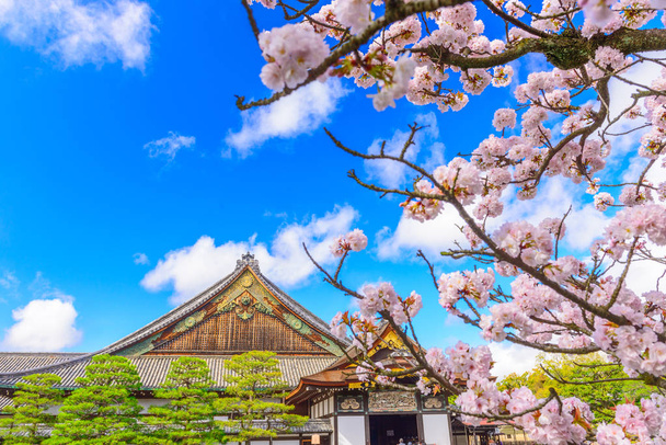 Kyoto, Japan at the Ninomaru Palace of Nijo Castle during spring season. (sign reads: "Ninomaru Palace") - Photo, Image