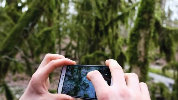 Egy ember veszi a képek a fák az erdőben egy okostelefon, 4k. - Felvétel, videó