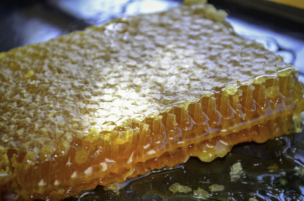 Organic Raw Honey from Mariovo Region in Macedonia - Фото, зображення