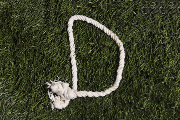Alfabeto de cuerda sobre hierba. Letra D
 - Foto, imagen